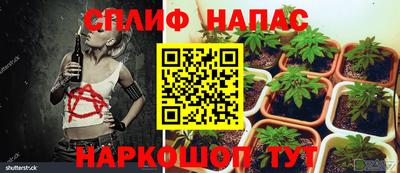 гашик Каменск-Шахтинский
