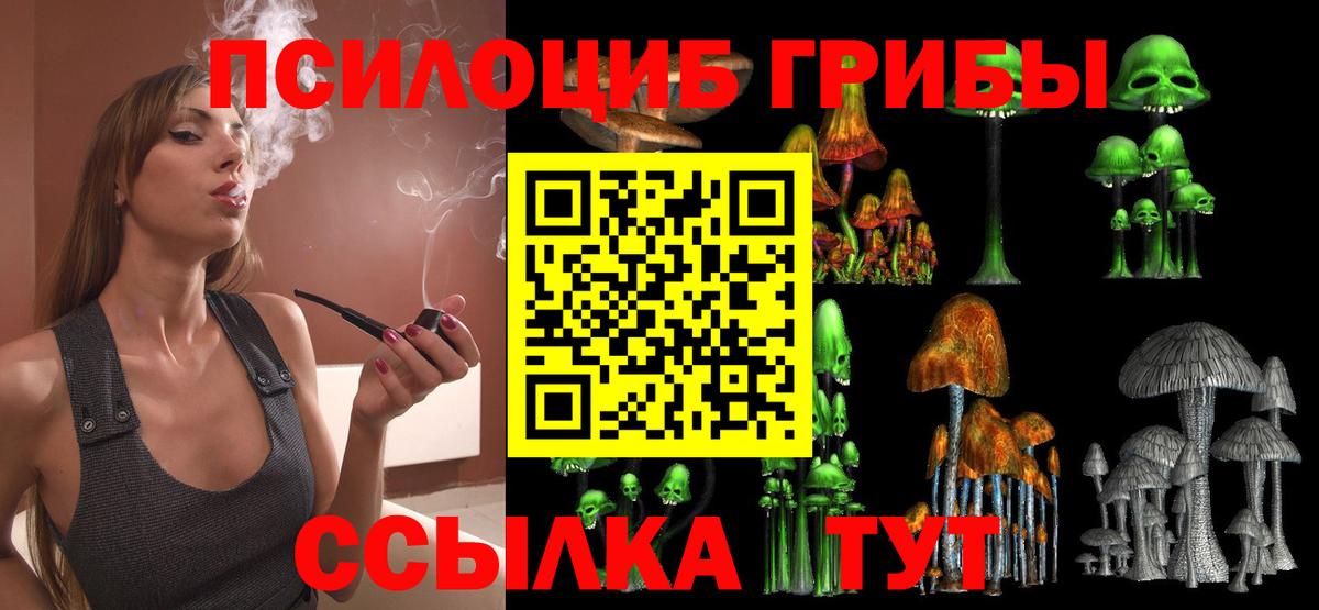 Вязьма  Галлюциногенные грибы мухоморы  Вход с VPN 